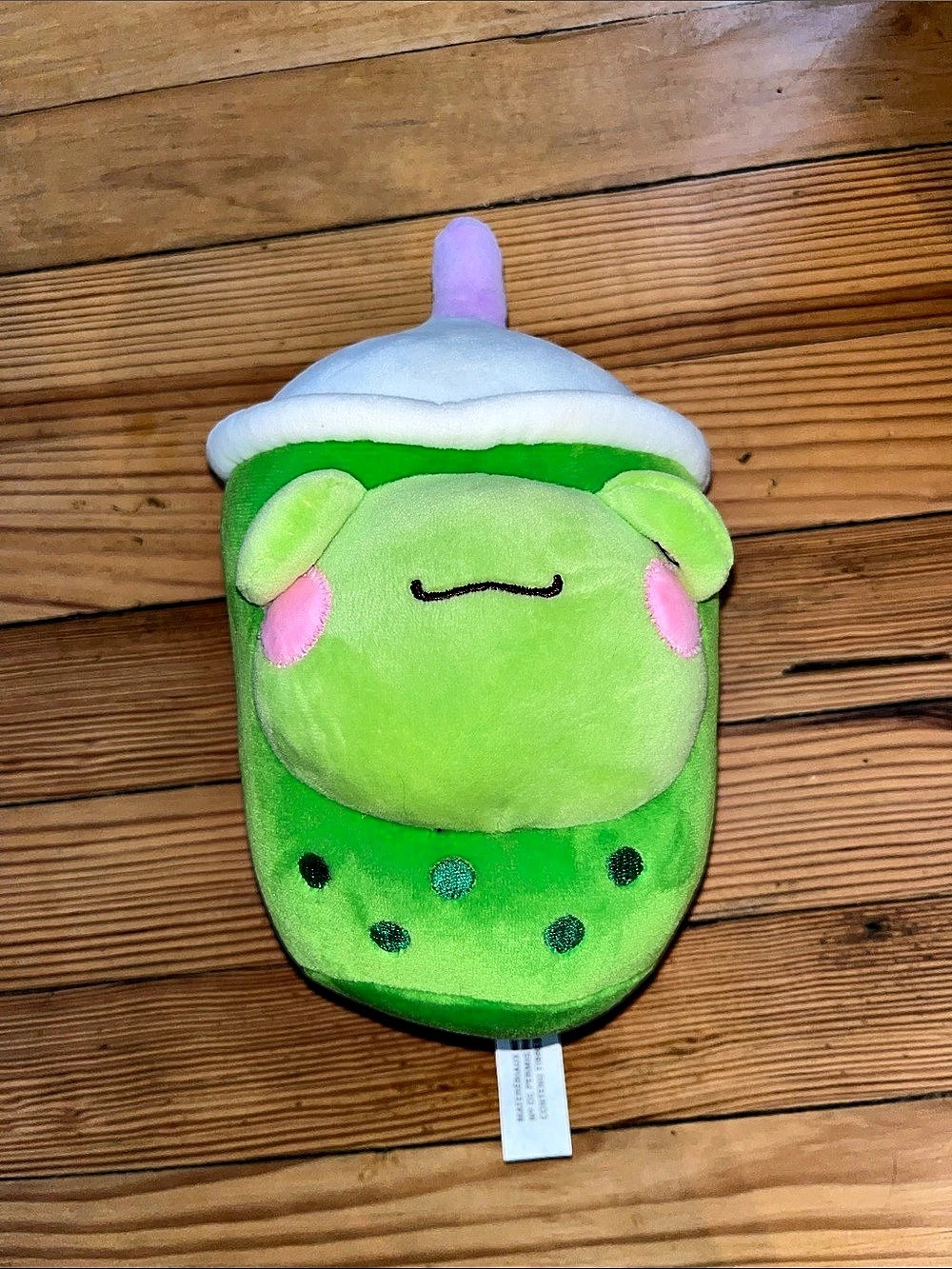Frog Bubble / Boba Tea Plushie